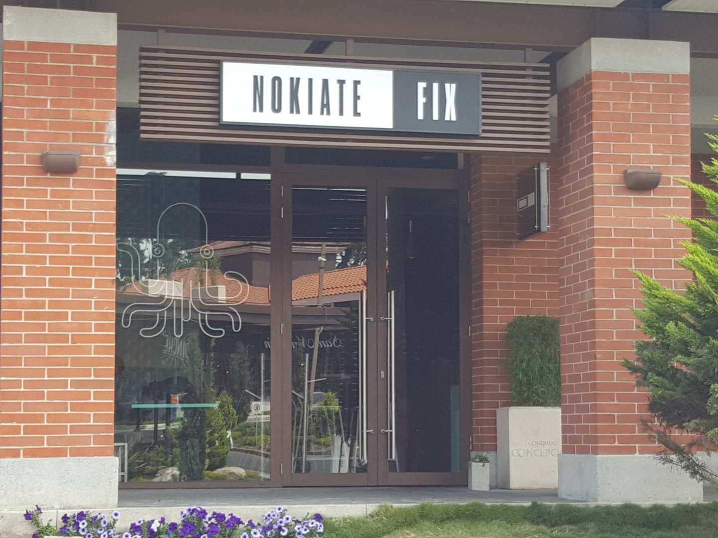 Nokiate Fix (condado Concepción)