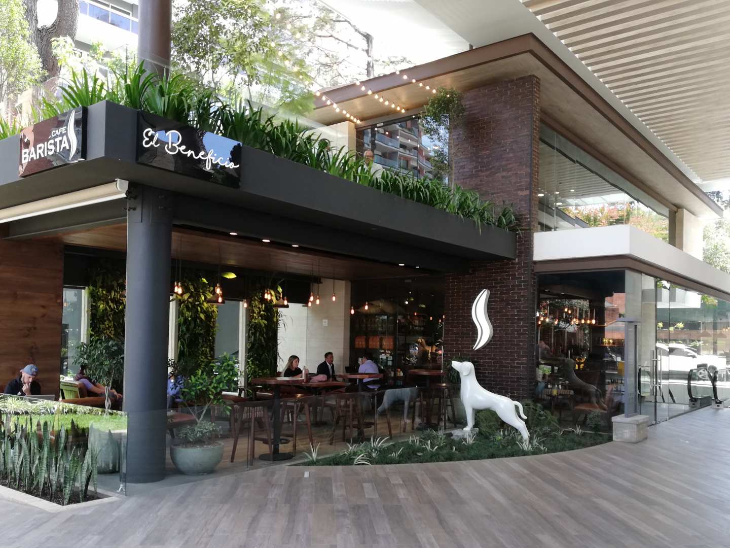 🌏 Cafe Barista (El Beneficio), Guatemala Cafetería