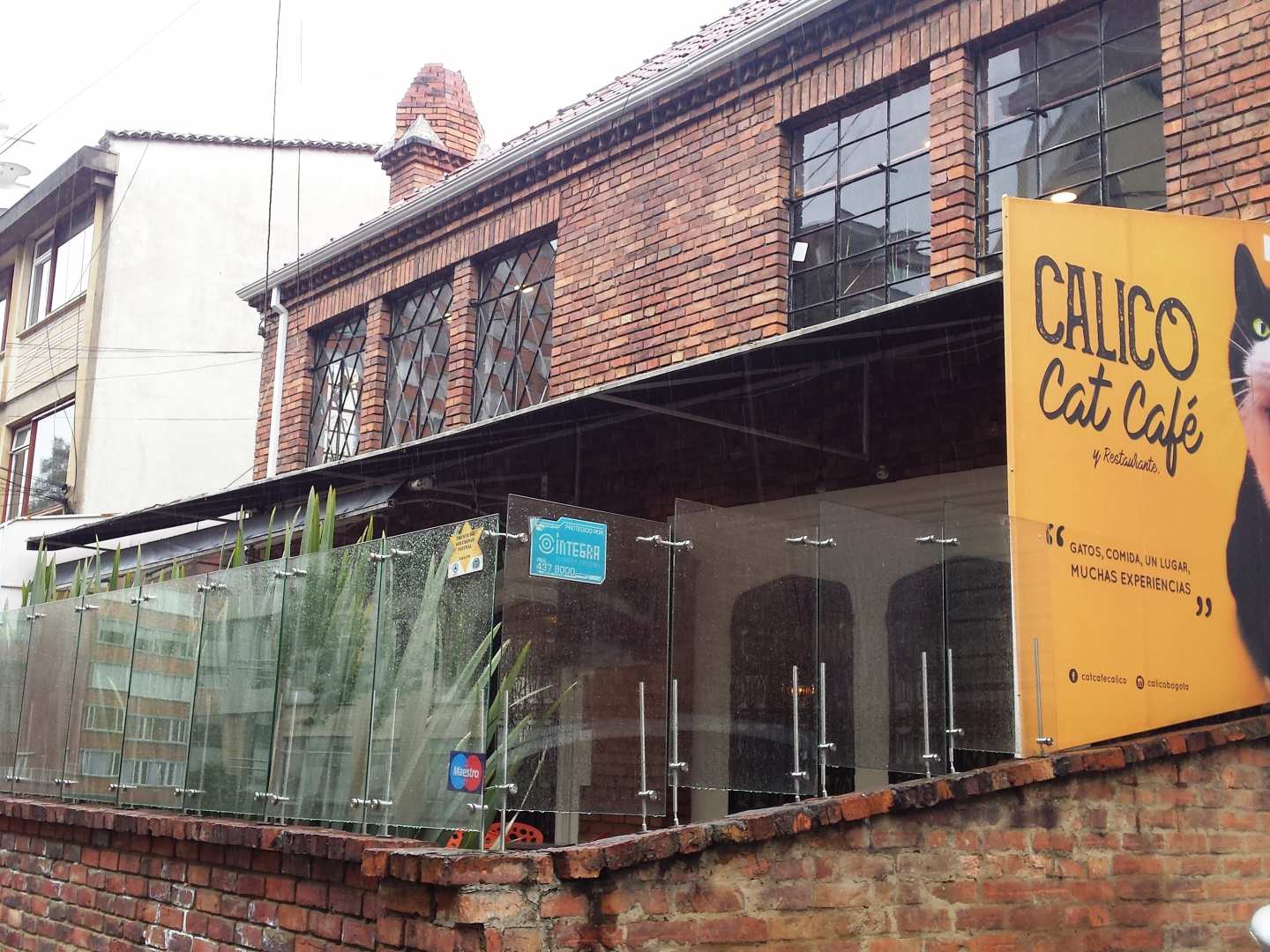 Calico Cat Caf Bogot Restaurante Cafeter a Calico Cat Caf Bogot Restaurante Cafeter a