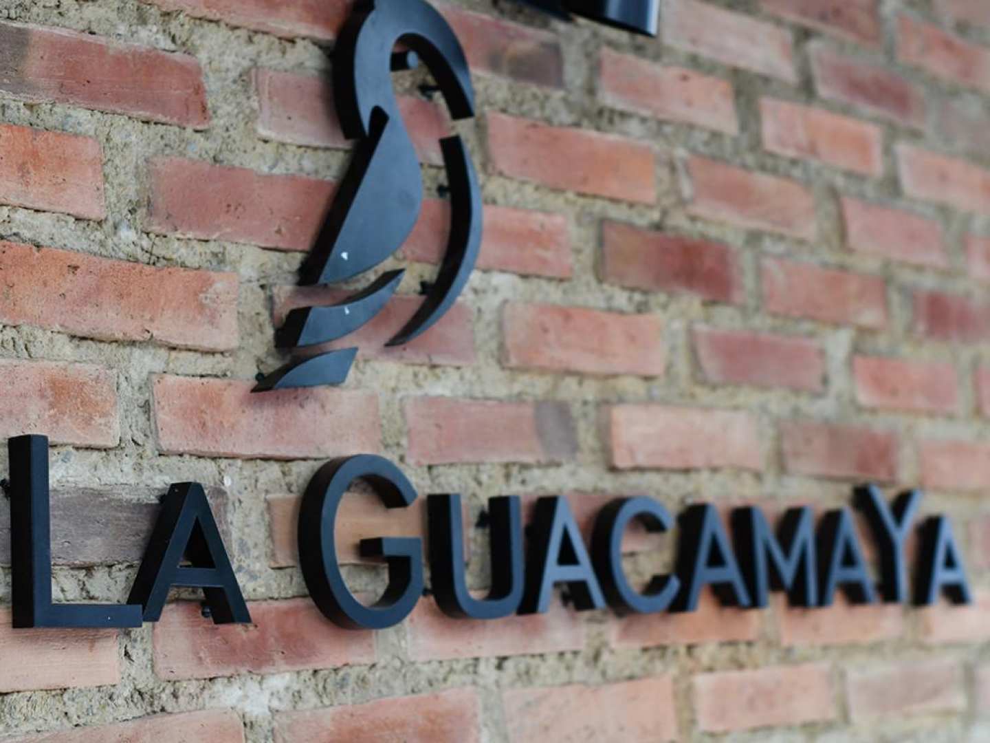 La Guacamaya (Chacao)
